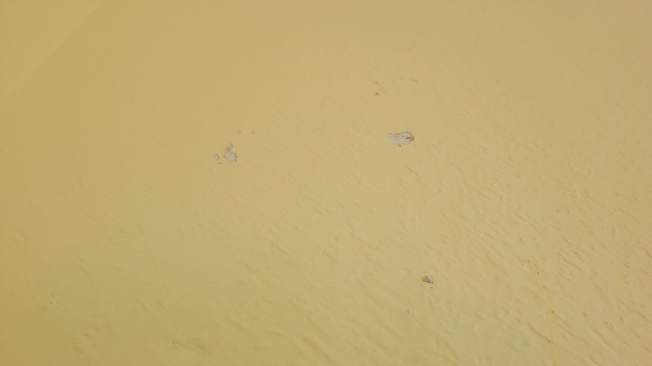 Photo of Others in Mesquite
