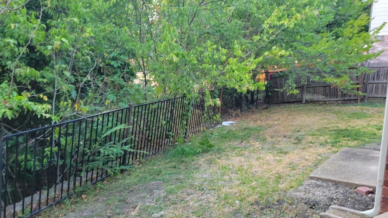 Photo of Outdoor in Mesquite