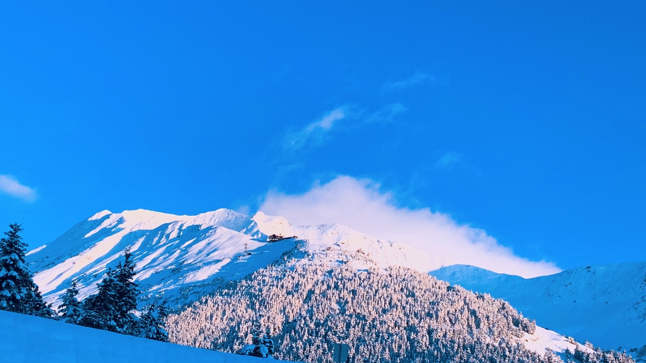 Photo of Others in Alyeska
