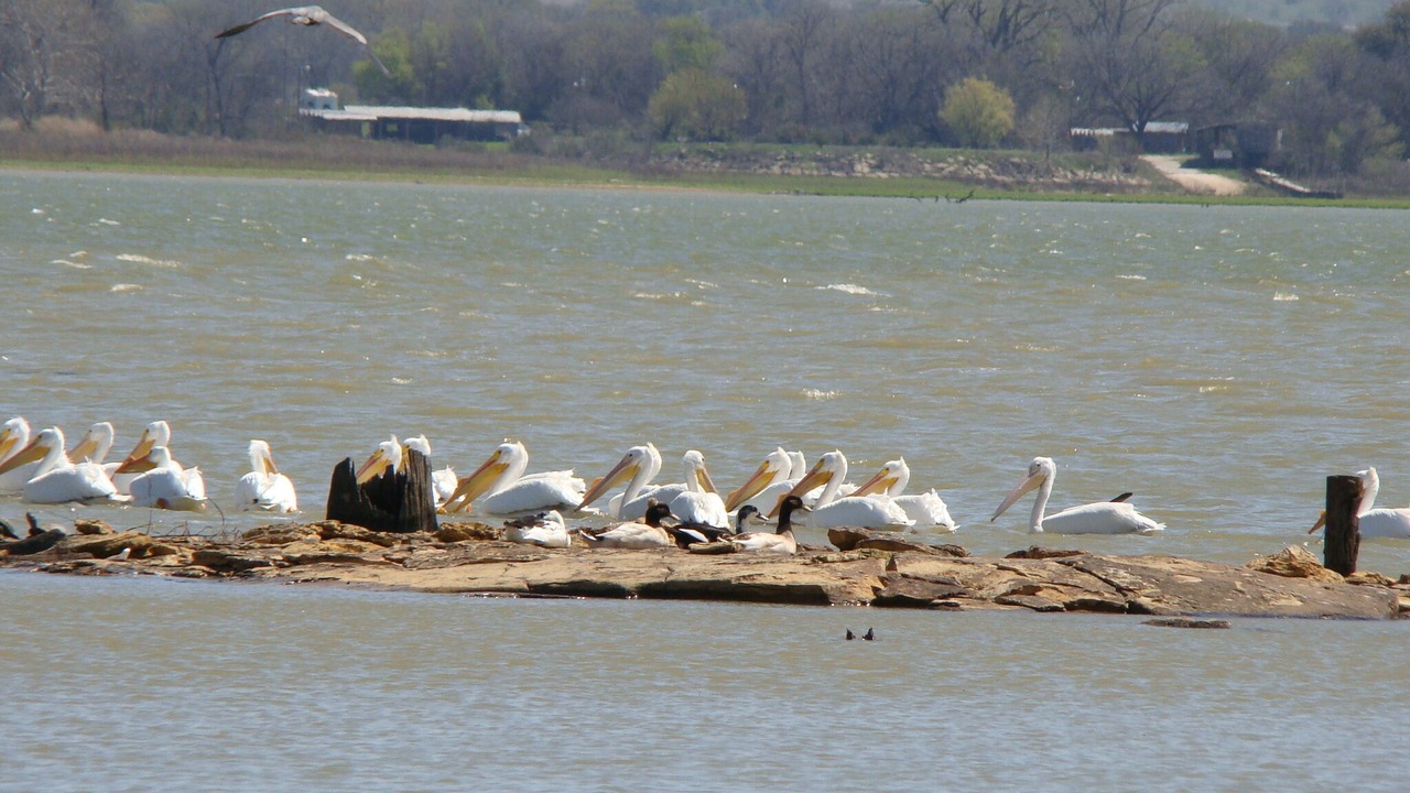 Photo of Others in Azle