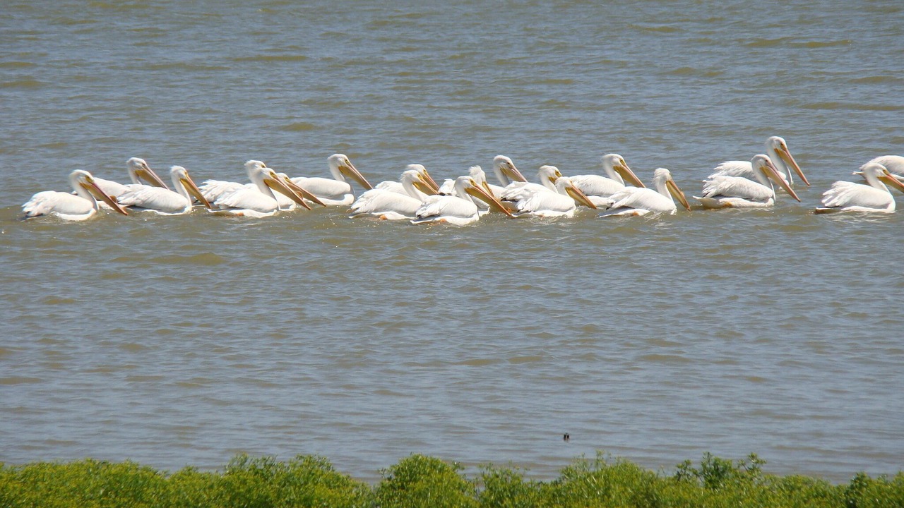 Photo of Outdoor in Azle