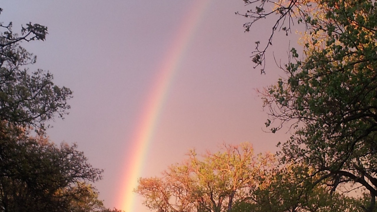 Photo of Outdoor in Azle
