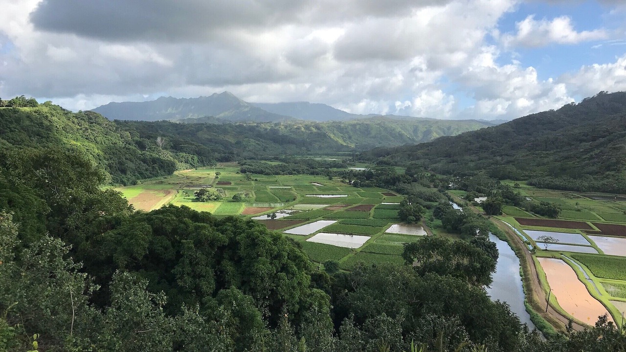 Photo of Others in Princeville