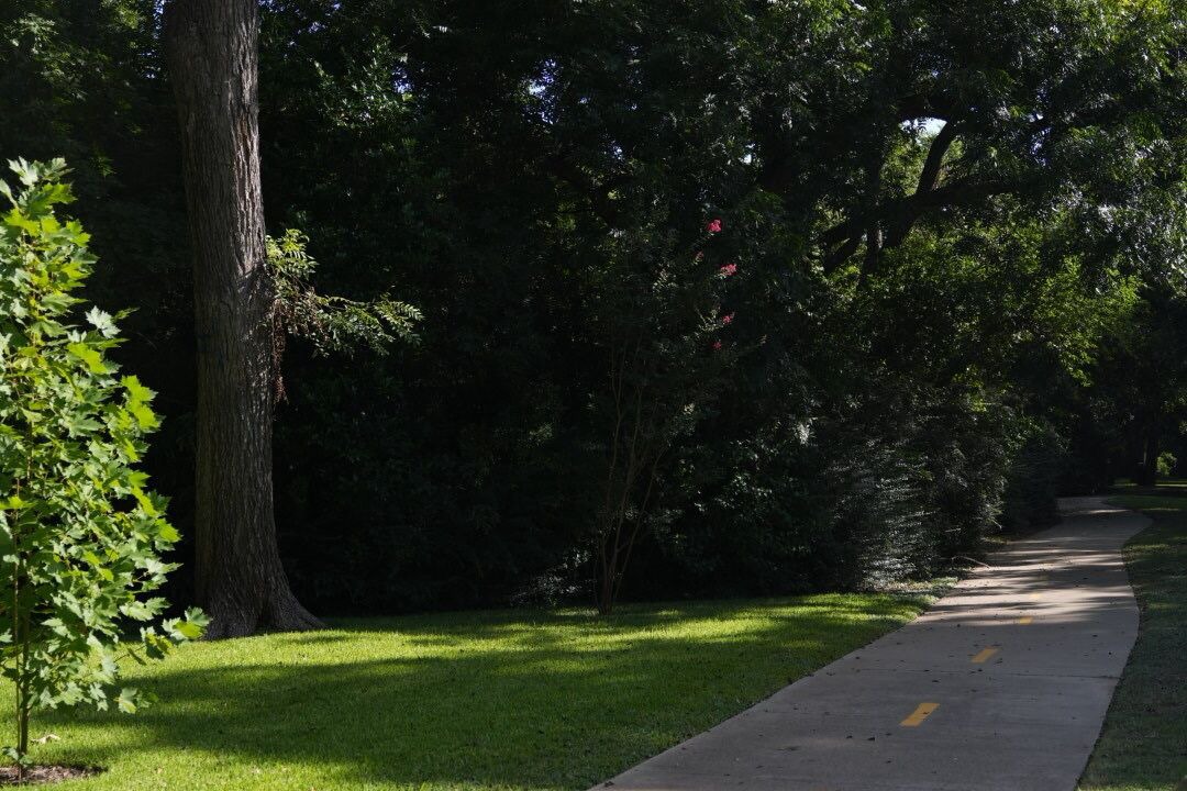 Photo of Outdoor in Kessler