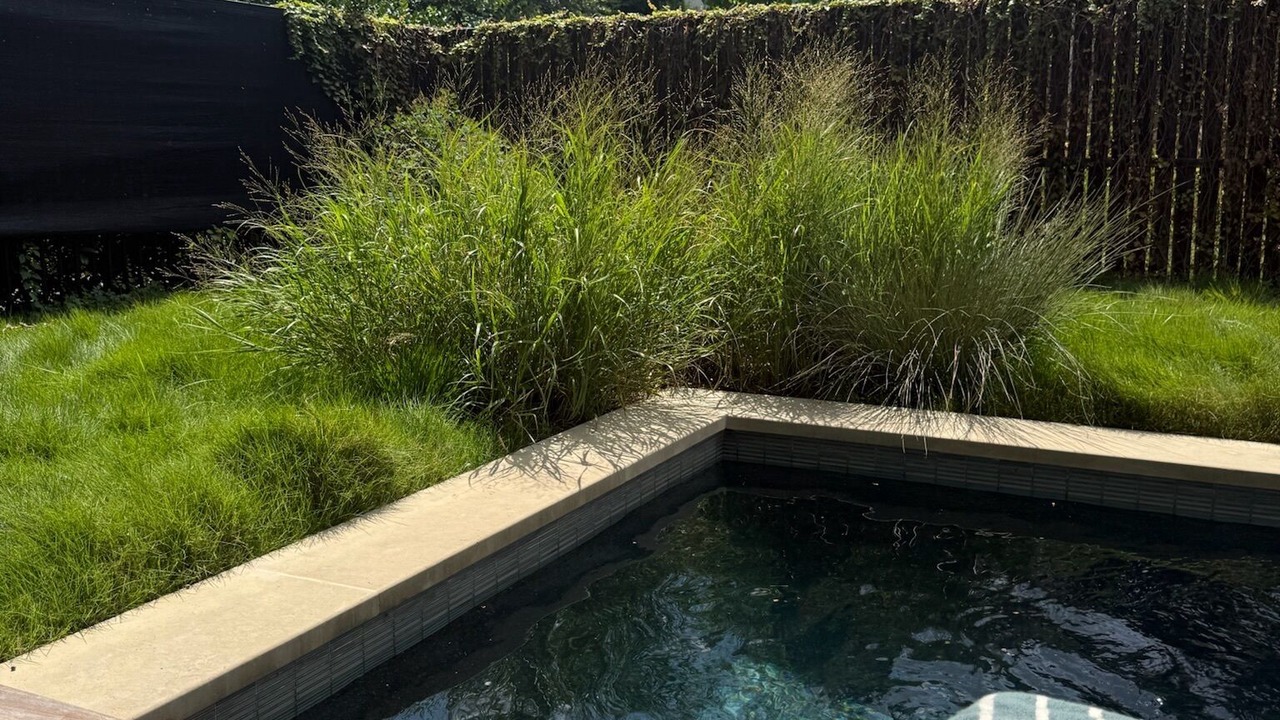 Photo of Outdoor in Kessler
