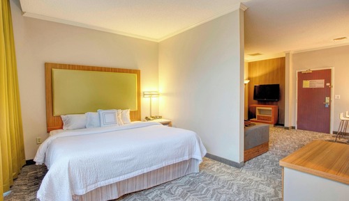 Executive Suite, 1 King Bed (Mobility/Hearing Access, Roll-In Shwr)