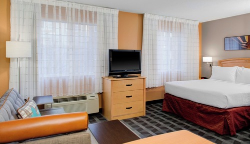 Studio, 1 Queen Bed with Sofa bed